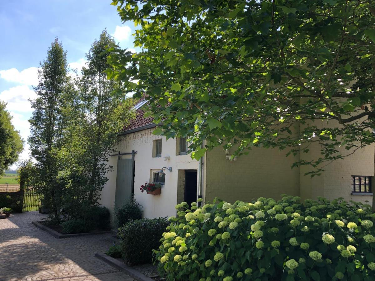 Welness Gastenverblijf Carpe Diem Opglabbeek Exterior photo