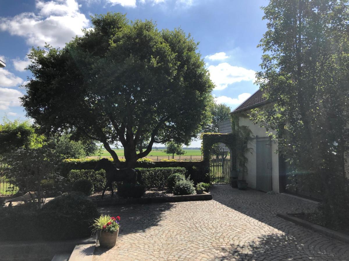 Welness Gastenverblijf Carpe Diem Opglabbeek Exterior photo