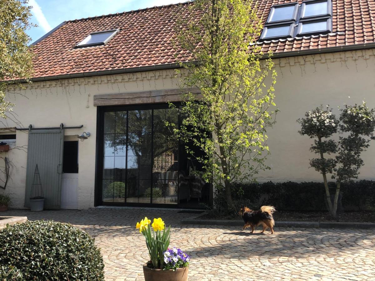 Welness Gastenverblijf Carpe Diem Opglabbeek Exterior photo